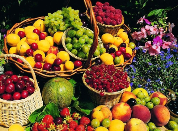 ثبت برند میوه و سبزی و میوه‌های چهار فصل در ایران