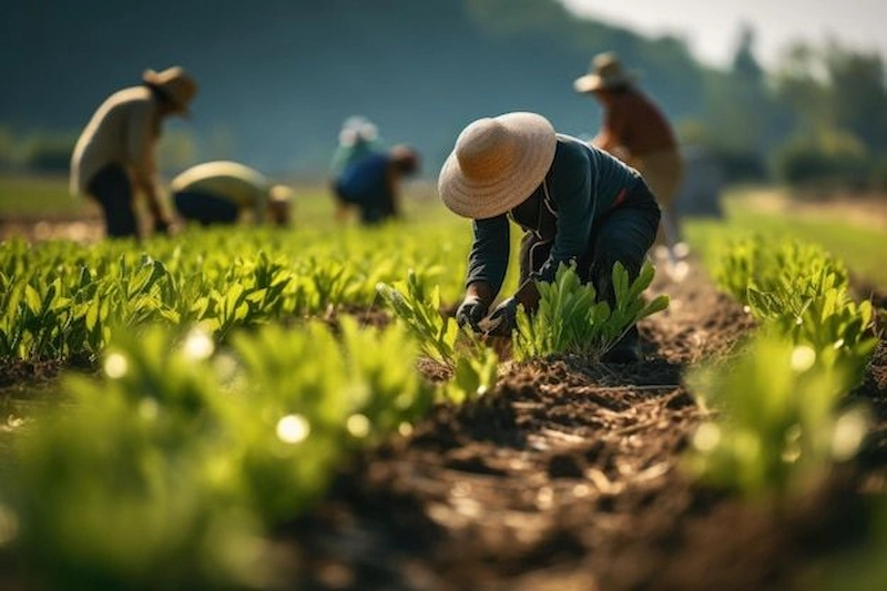 چه عرصه هایی از کشاورزی به مجوز احتیاج دارد؟