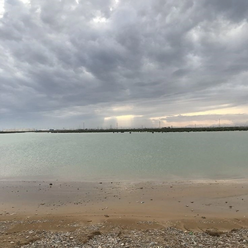 ثبت شرکت در ماهشهر