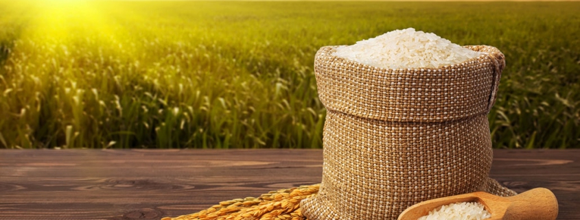 ثبت برند تجاری برنج