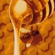 ثبت برند عسل