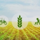 ثبت شرکت تعاونی کشاورزی